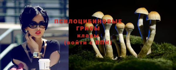 стафф Белоозёрский