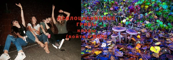стафф Белоозёрский