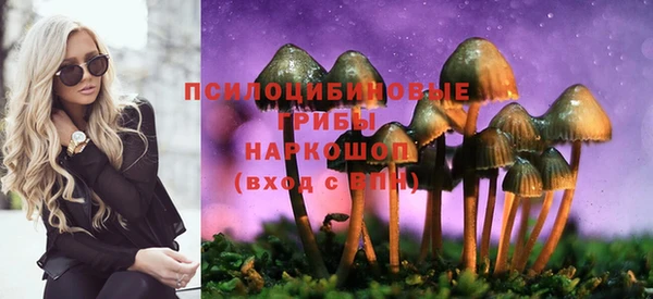 ПСИЛОЦИБИНОВЫЕ ГРИБЫ Балахна