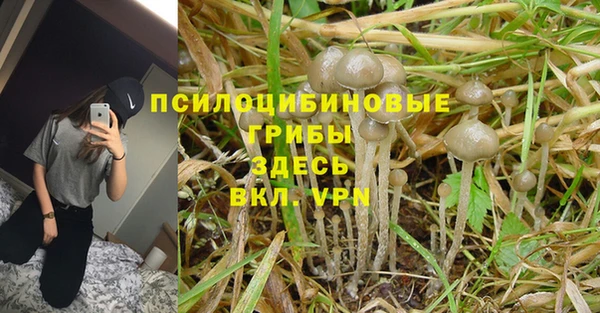 мяу мяу мука Богородск